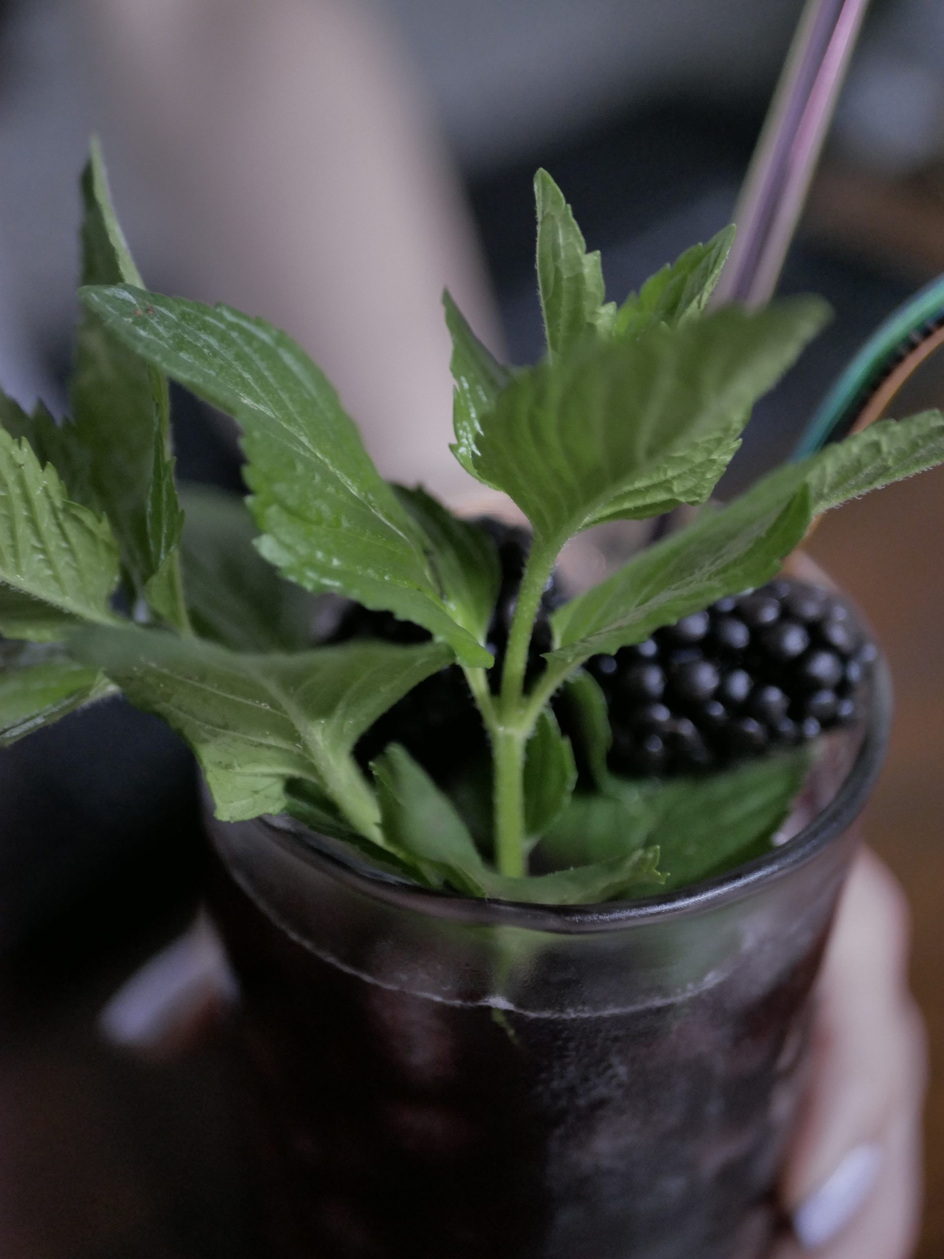 Moras